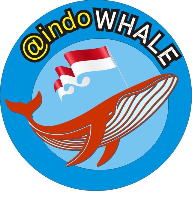 indowhale.JPG