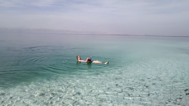 Only two life forms are found in the Dead Sea: bacteria and tourists