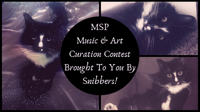 MSP Music  Art Curation Contest 97.png