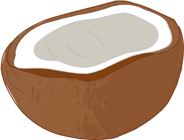 coconut303358_960_720.png