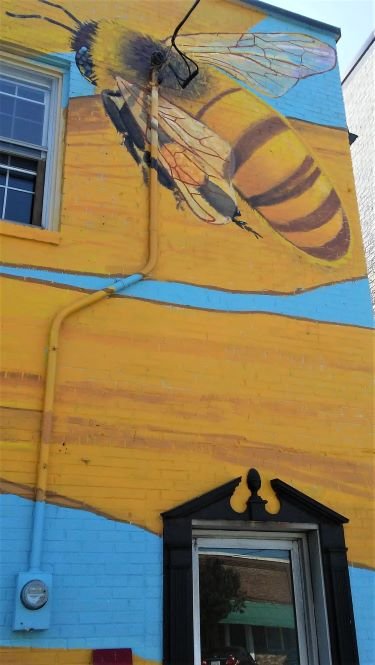 bee over door.jpg