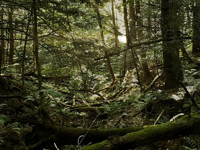 20190825_162818.jpg