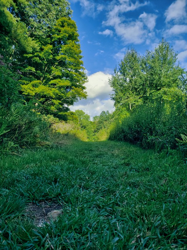 20190825_170615.jpg