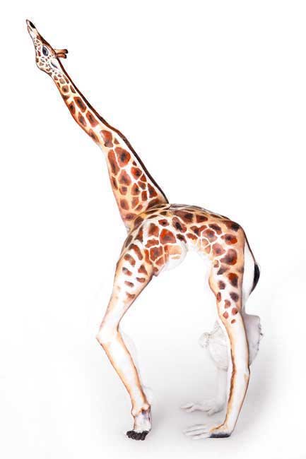 Giraffefade1.jpg
