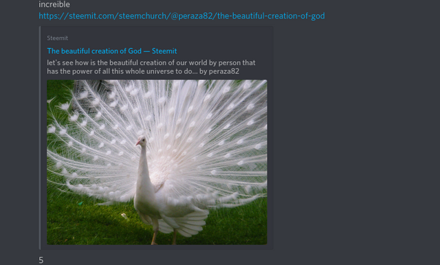 screenshotdiscordapp.com2019.09.1821_34_13.png