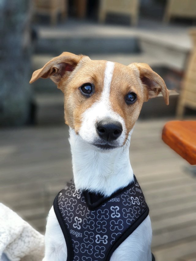 20190922_121747.jpg