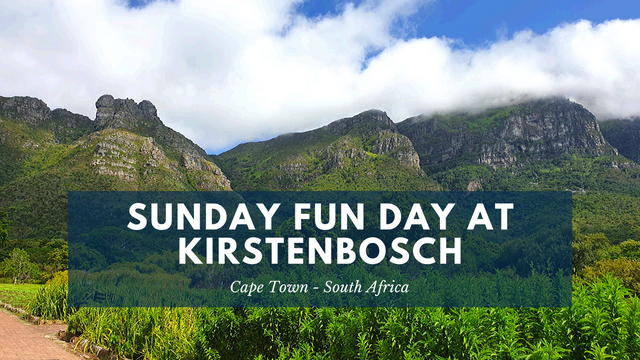 sunday fun day at kirstenbosch.png