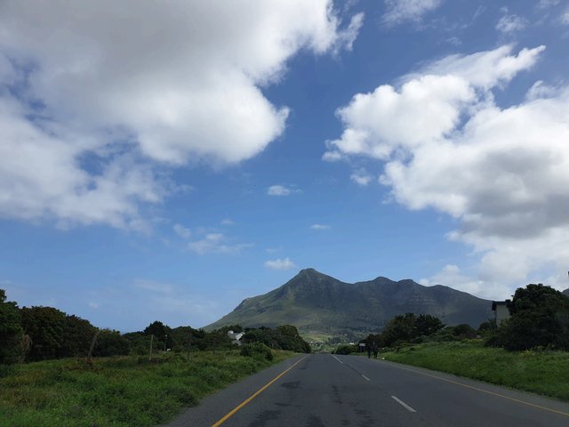 20190922_113134.jpg