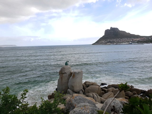 20190922_155751.jpg