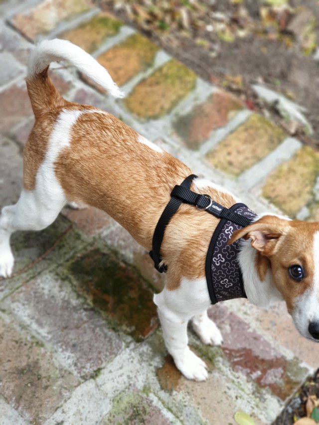 20190922_152610.jpg