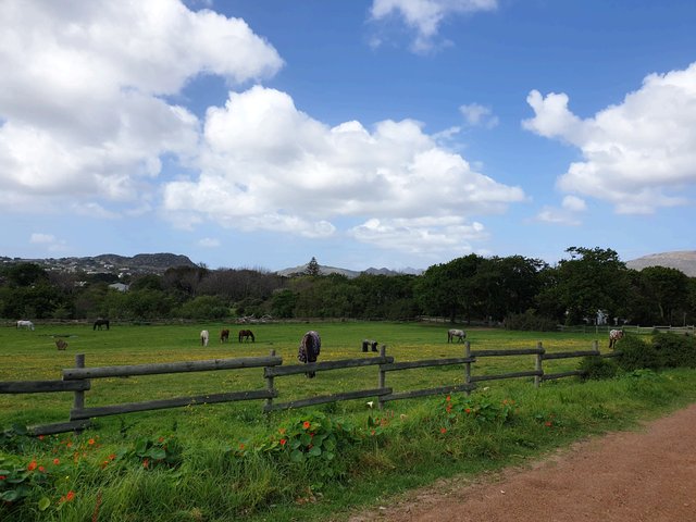 20190922_113430.jpg