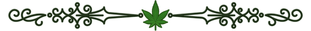 CS_GREEN_CANNACURATE_DIVIDER_TRANSPARENT1.png