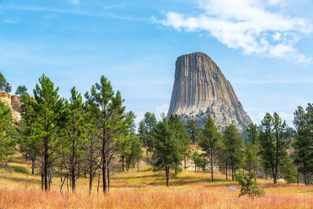 wyoming_devils_tower_view_trees_colorful_field_reduced1.jpg