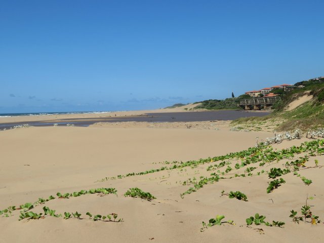 6336IllovoBeach.JPG