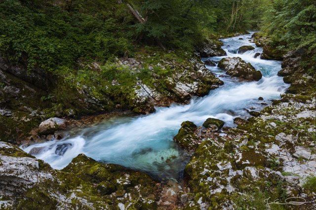 Vintgar Gorge / Vintgar Klamm (Slovenia)