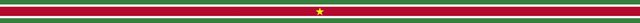 Suriname Banner.jpg