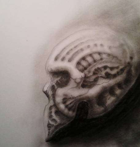 abstract skull.JPG