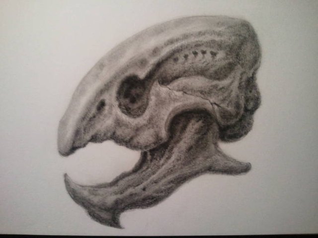 alien skull.JPG