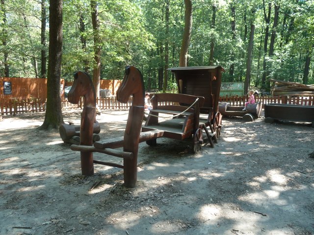 P1110393.JPG