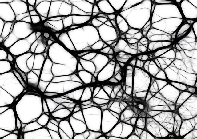 neurons440660_1920.jpg