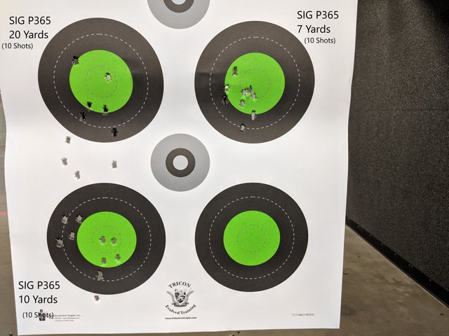 SigP365Target.jpg