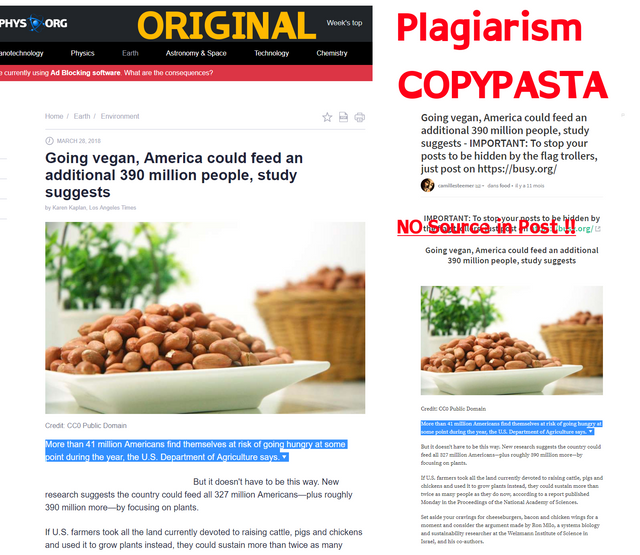 Plagiarism5.png