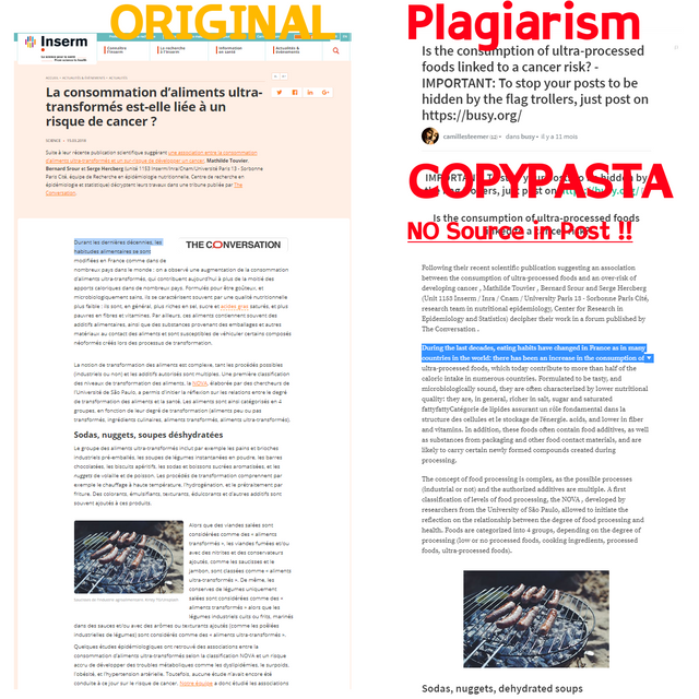 Plagiarism6.png