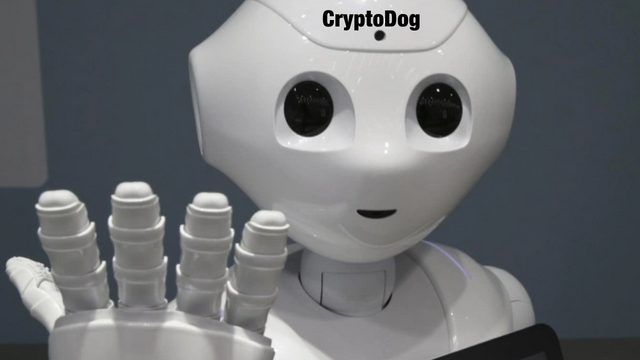 CryptoDog 34.png