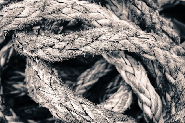 rope3052477_1280 1.jpg