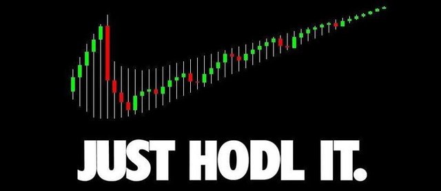 hodl.JPG