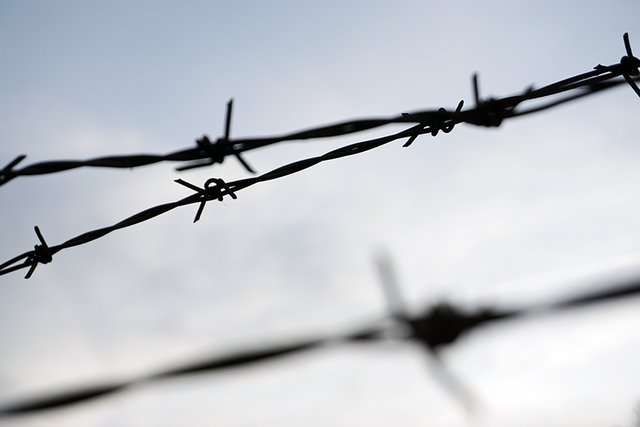 Barbed Wire C s.jpg