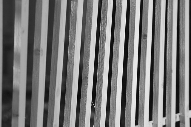 Yellow_Wooden_Fence_Closeup_01_s_BW.jpg