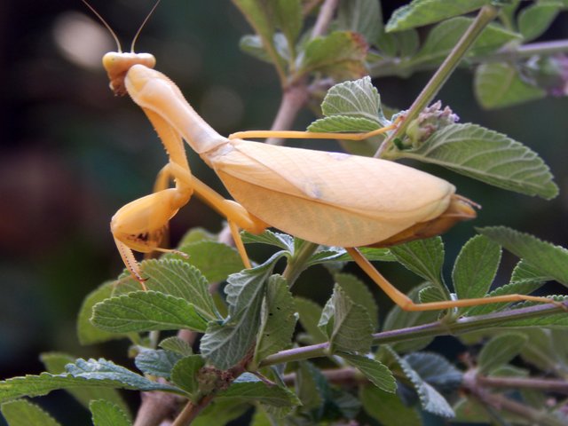 DSCN3894m.jpg