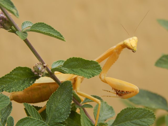 DSCN3896m.jpg
