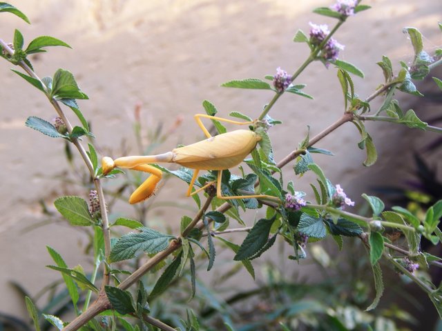 DSCN3890m.jpg