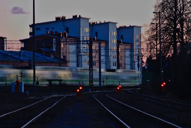 DSC_0170.jpg