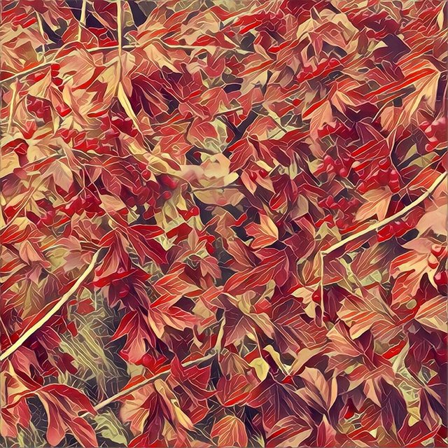 Leaves2.jpg