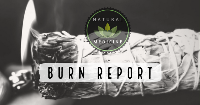 NM Burn report cover.png