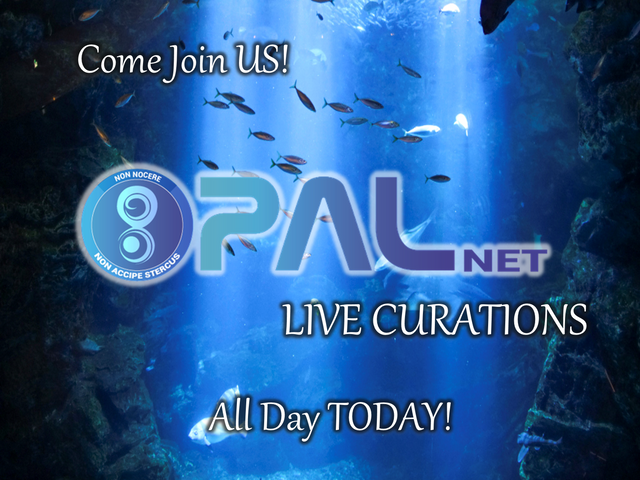 PALNET curation live.png