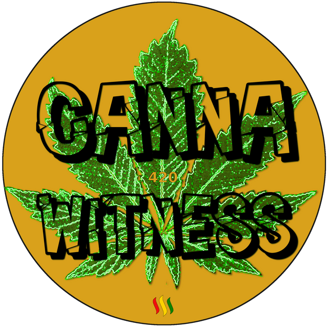 Please **click the Logo** to support Canna Witness with your vote!