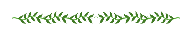 leafdivider.png