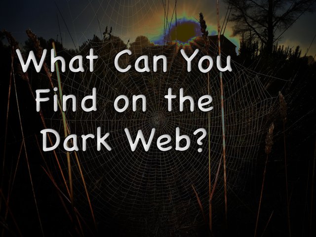 What Can You Find on the Dark Web?