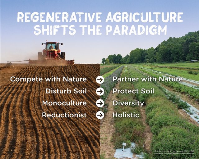 Regenerativeagricultureshifts 1.jpg