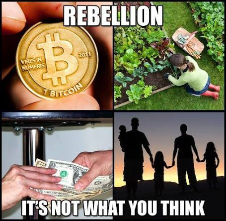 RebellionitsNotWhatYouThinkBitcoinPeacefulParentingBarterandAgorism 1.jpg