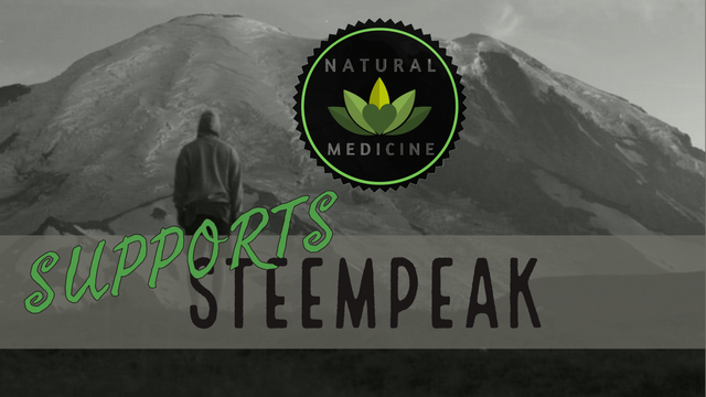 sTEEMPEAK.png