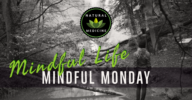 Mindful Life Monday banner.png