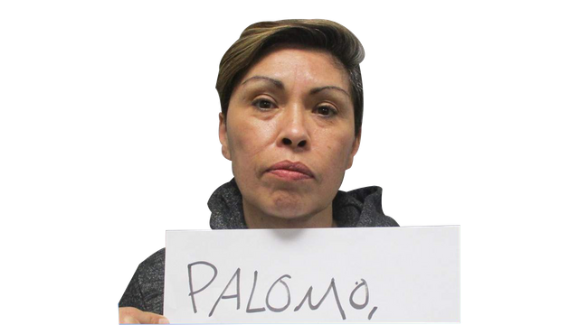 paloma.png