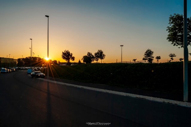 DSC_0025.jpg