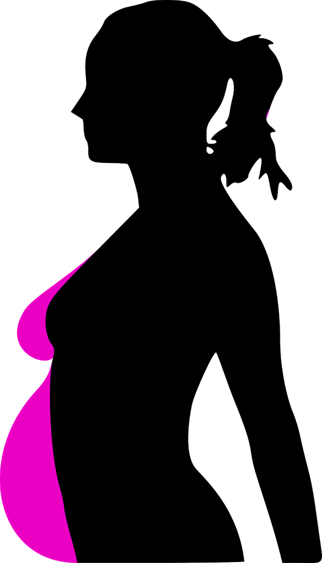 pregnancy31113_1280.png