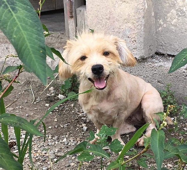 bella1.jpg